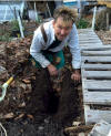 prepping soil