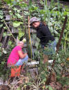 Alison & Rachael Master Gardeners