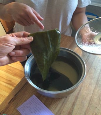 Kombu seaweed taken from broth