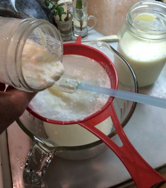 straining kefir grains