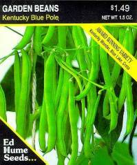 Kentucky Blue Pole Bean